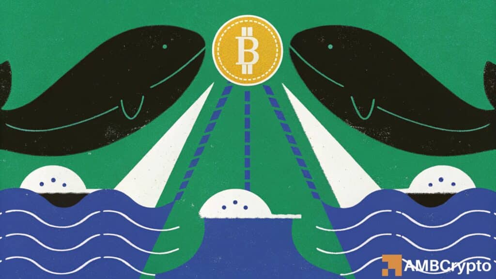 Here's why Bitcoin's bull market case shouldn't be dismissed just yet!