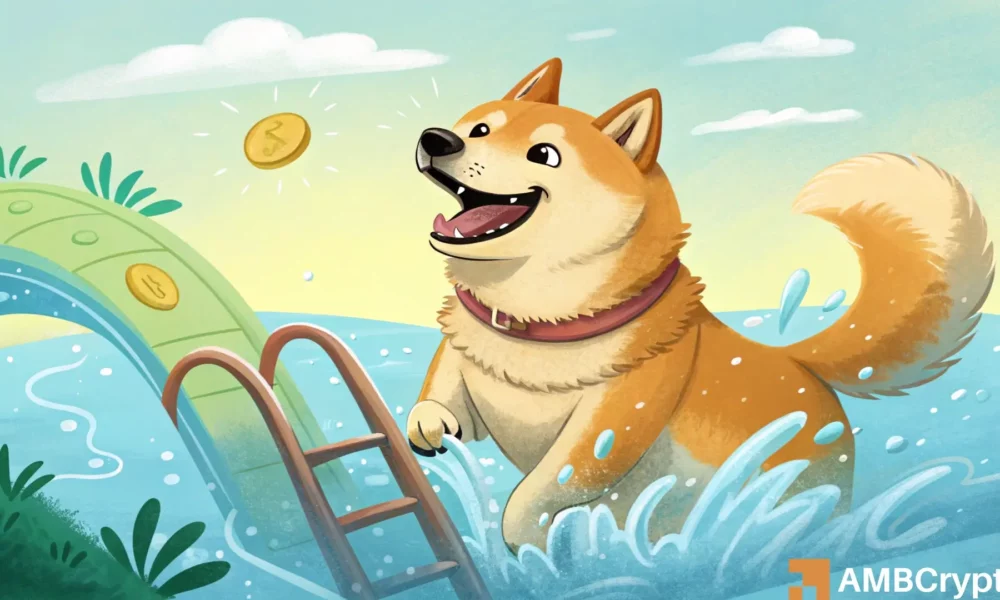 Dogecoin recovers December losses – Here’s why a breakout is likely