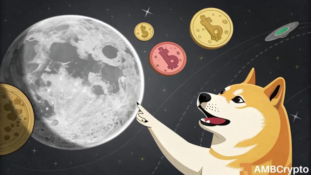 Dogecoin to the moon? Here's why long-term investors should pay attention to DOGE