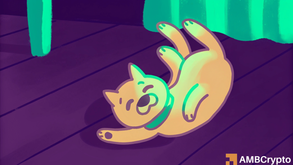 Dogecoin faces a sharp sell-off: What’s behind DOGE's tumble?