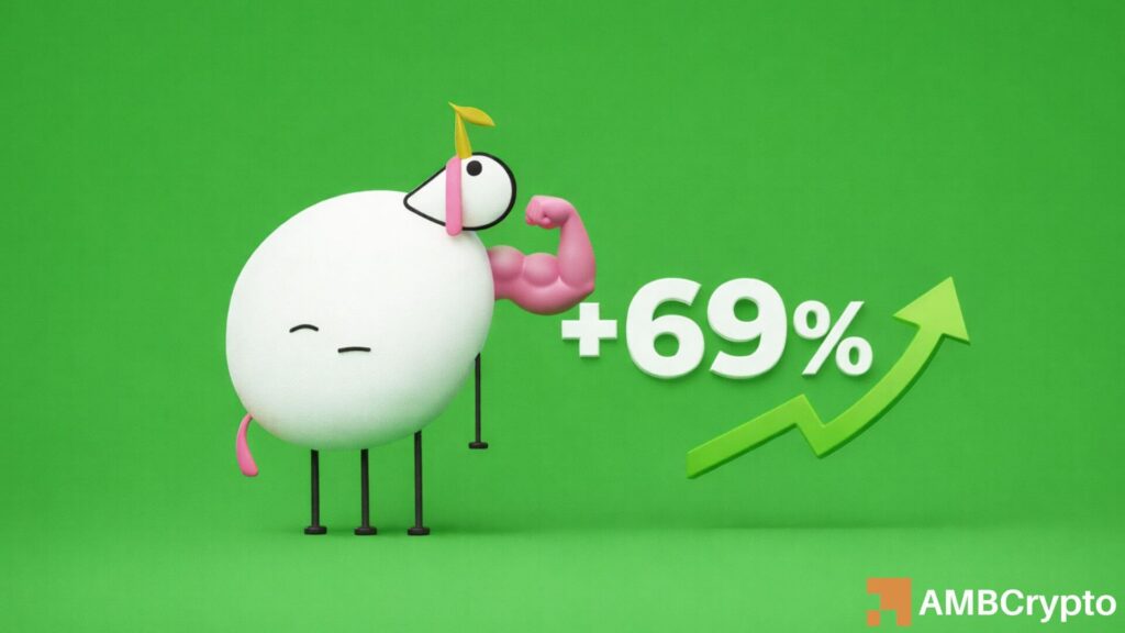 Pippin Surges 69% in 24 Hours – Will It Break Its ATH?