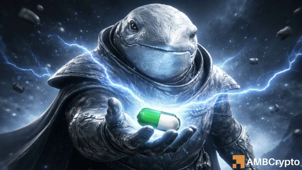 WhiteWhale Surges 135% But Whale Activity and Volume Weakness Raise Concerns