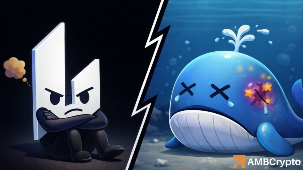 Tracing LIT's road to recovery after whale's $1.8M loss and revenue troubles