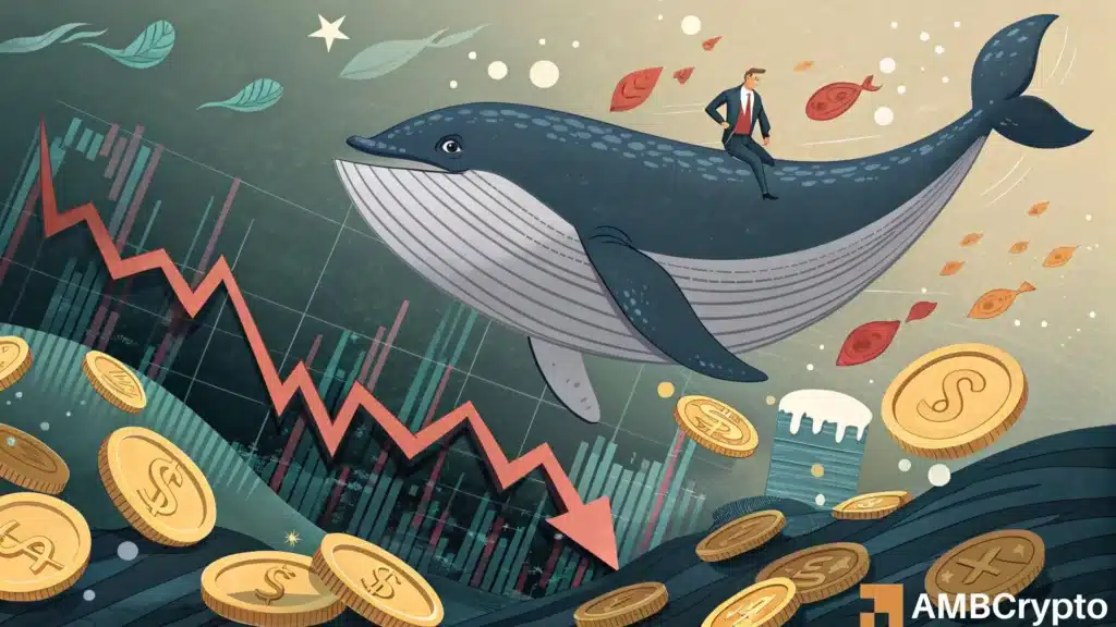 TRUMP Whale Takes 50% Loss in a $2.35mln Sale: More Losses Ahead?