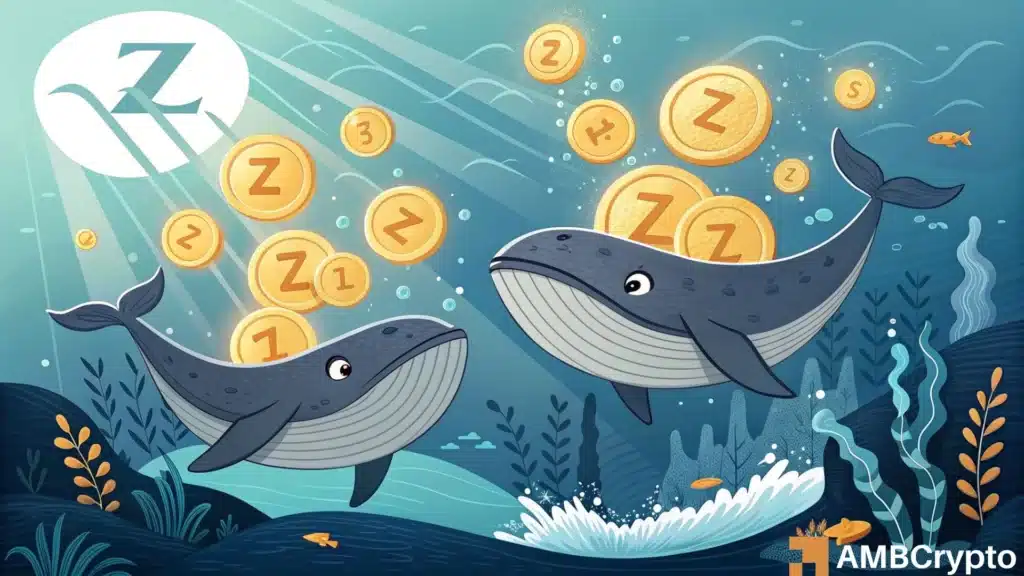 Zcash Drop 5% Despite $3mln in Whale Buys