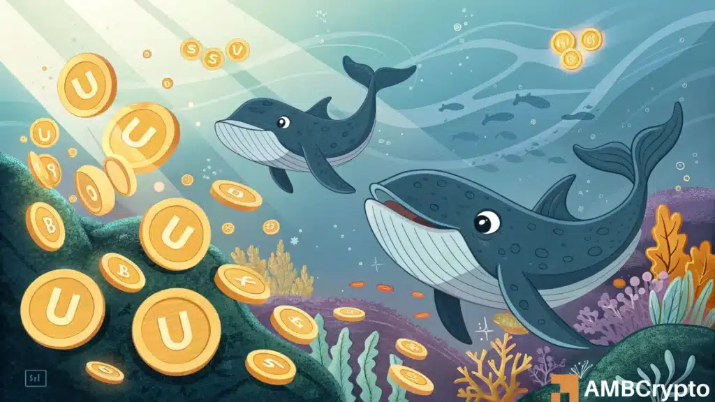 Whales absorb Uniswap supply, but UNI's price refuses to follow