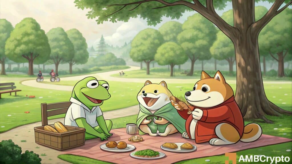 BONK, SHIB, PEPE, and more - Are memecoins really back in business?