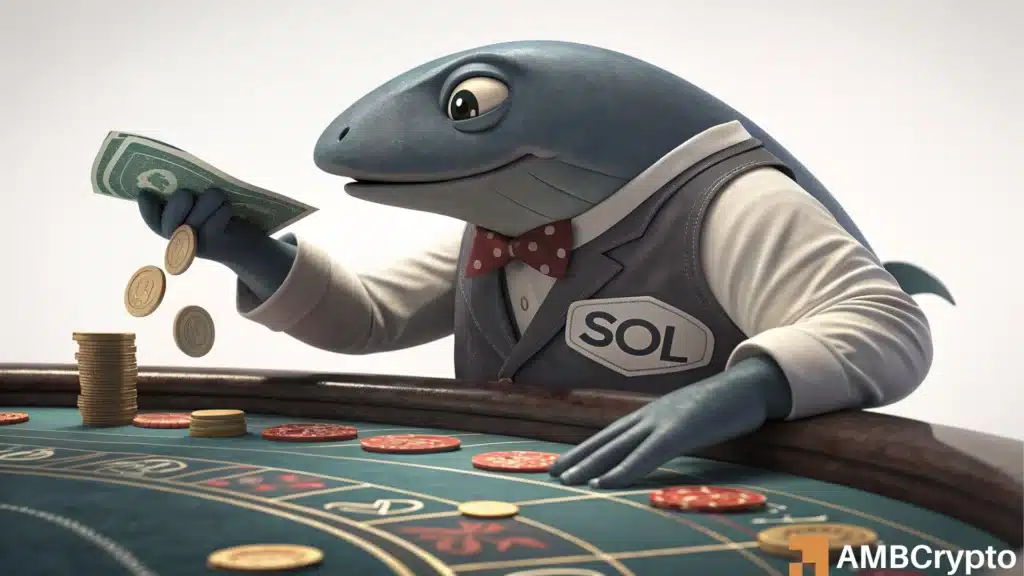 Solana whales get busy, but is this manipulation or commitment?