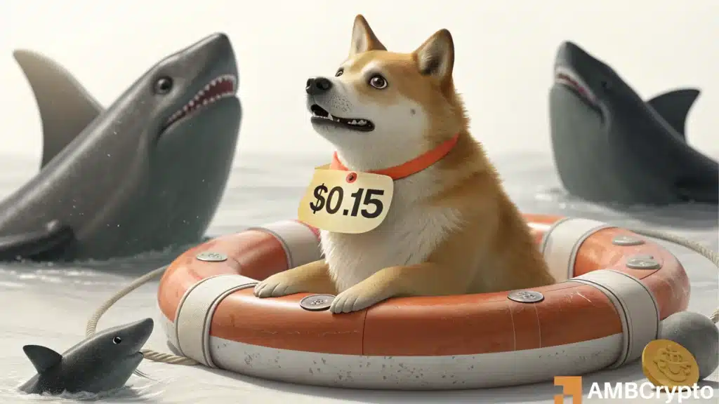 Dogecoin - Is latest episode of $500M whale outflows a coincidence or smart money exit?