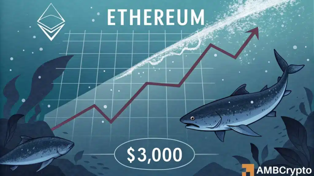 Ethereum slips below $3,000 - Why are whales quietly buying the dip?