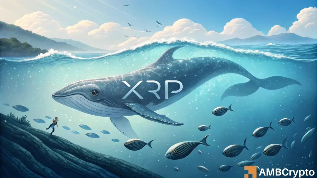 XRP whale behavior signals confidence despite the first spot ETF outflows