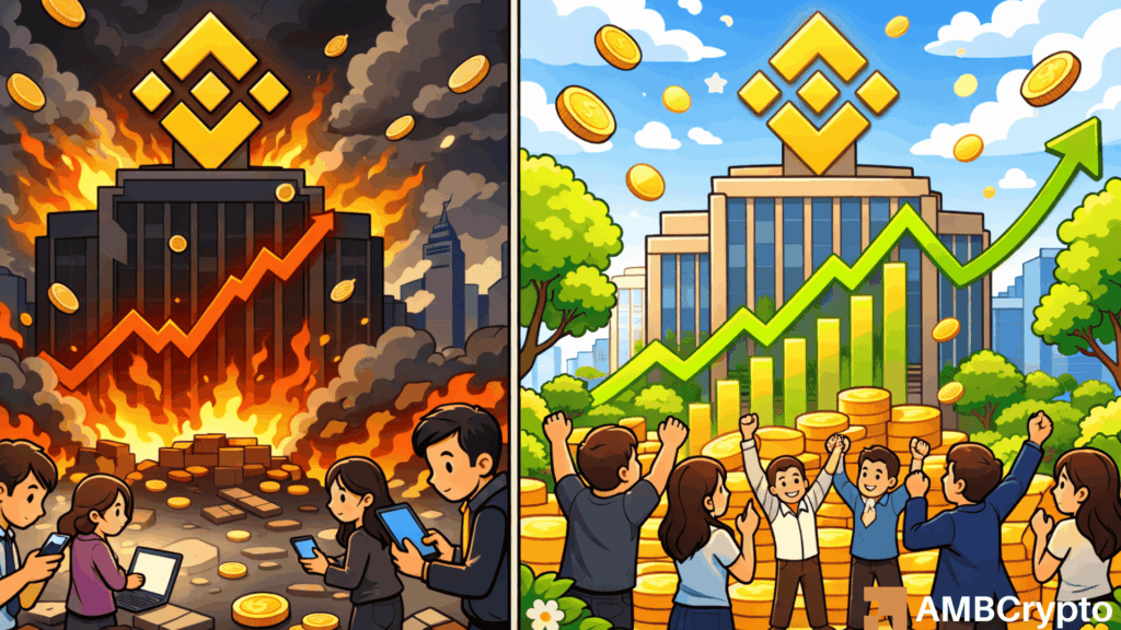 Binance FUD fails to trigger user exodus as on-chain data shows stable reserves