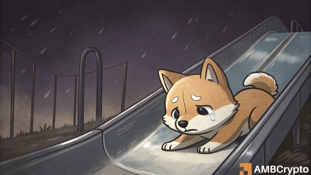 BONK’s January Breakout Fizzles as Memecoin Losses Deepen