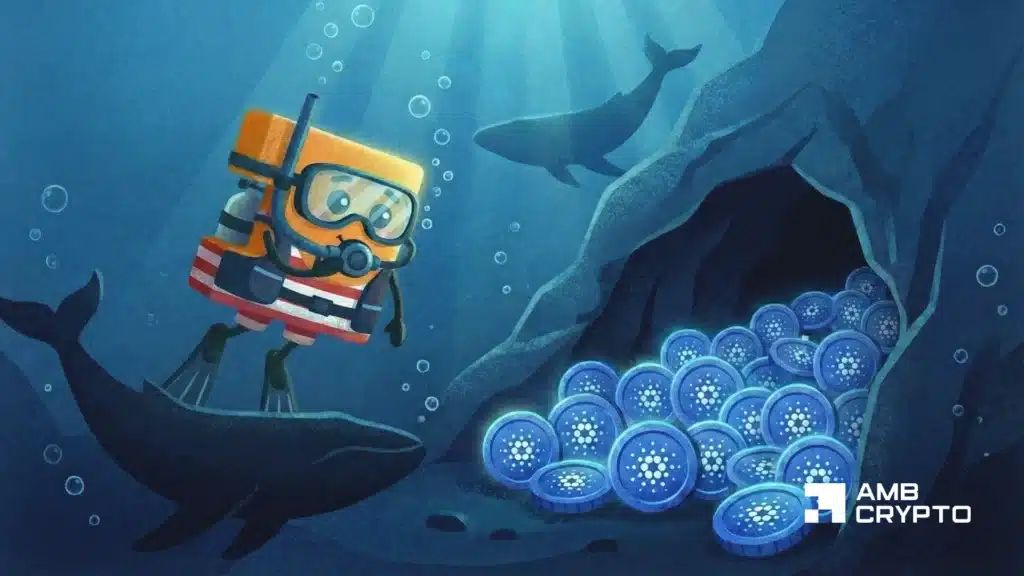 Here’s how Cardano whales may be shaping ADA’s price action