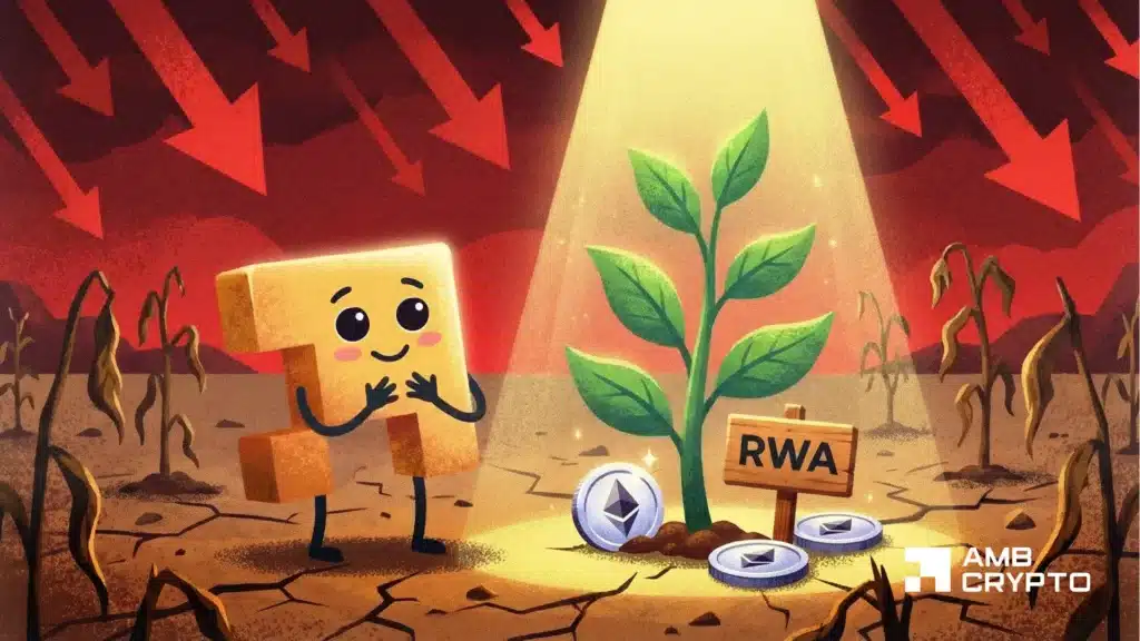 RWAs post 13.5 monthly gains as 1T exits the crypto market