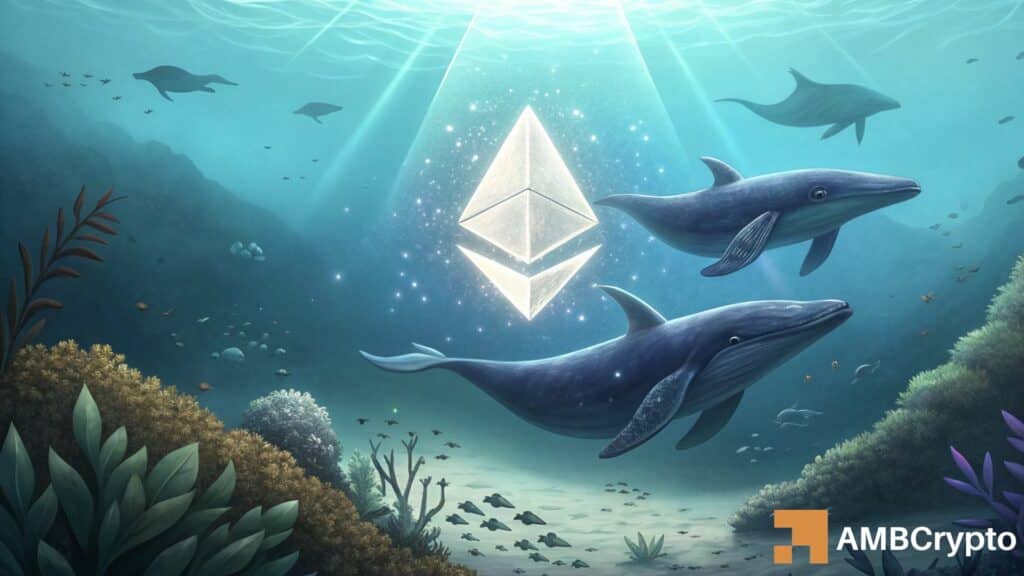 Large Ethereum holders pull 17k ETH: Strategic positioning ahead?