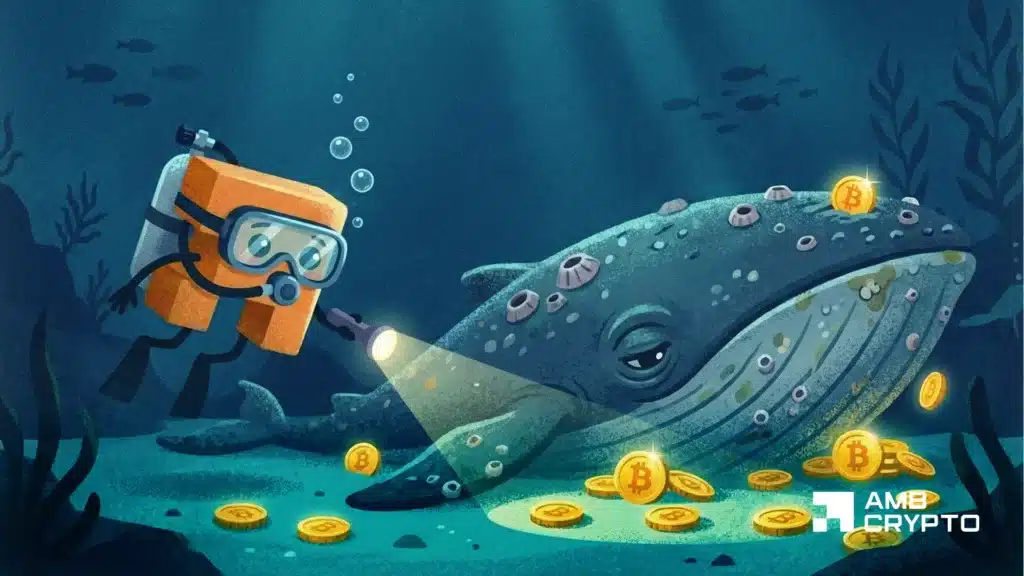 Oldest Satoshi-era Bitcoin wallet buys $2B in BTC - What does it know?