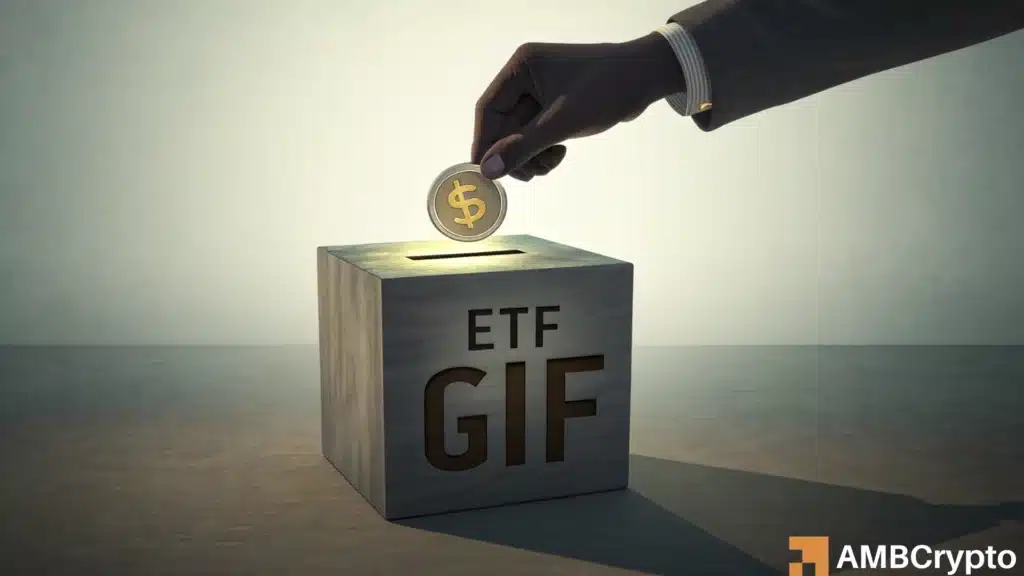 REX Shares bundles 9 ETFs into one GIF fund - Diversification or dilution?