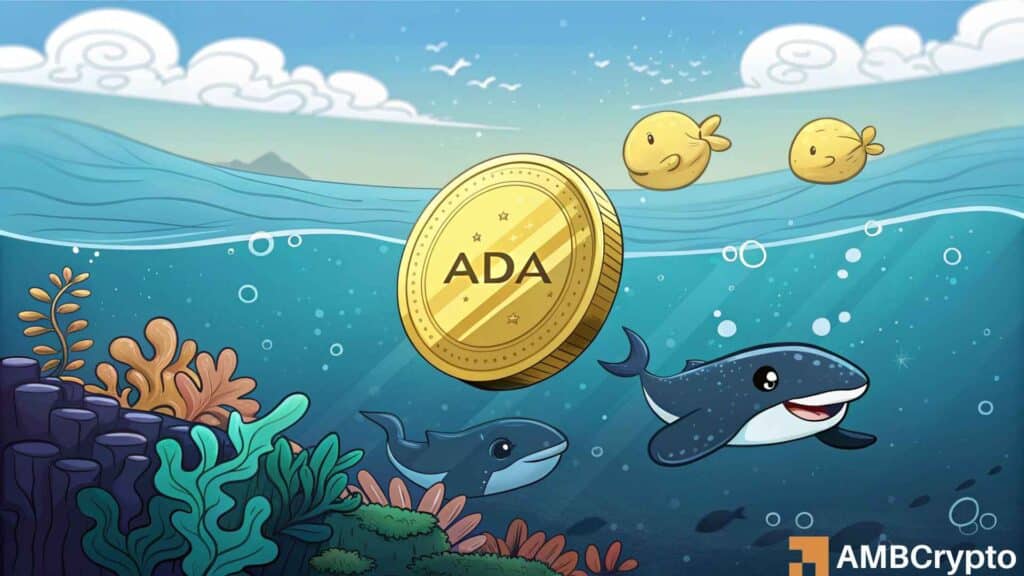 Cardano: $0.30 target comes into focus, but ADA's real move depends on...