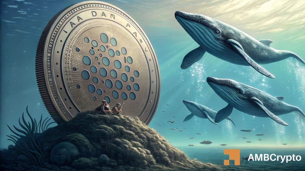 Cardano sees 220M whale accumulation