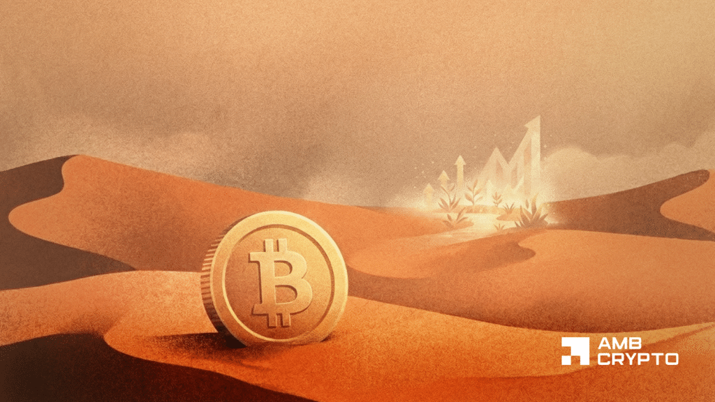 Bitcoin holds $71K - But $800 mln in liquidations tell a bigger story