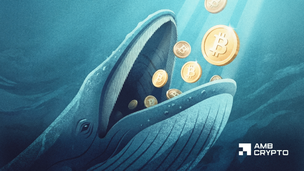Bitcoin whale count tops 20K - Is a BTC supply crunch ahead?