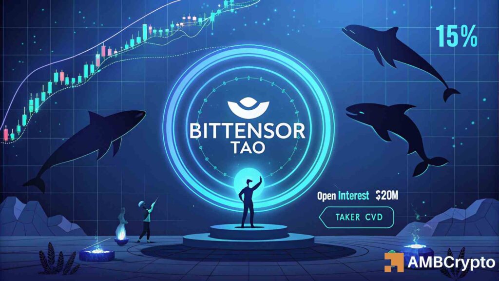 All about TAO's 15% hike and how its Open Interest hit new highs