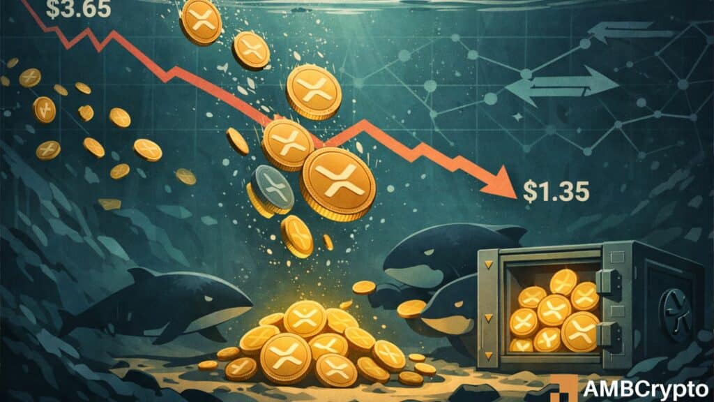 XRP Holders Face $50.8B in Unrealized Losses — Are whales quietly accumulating the dip?