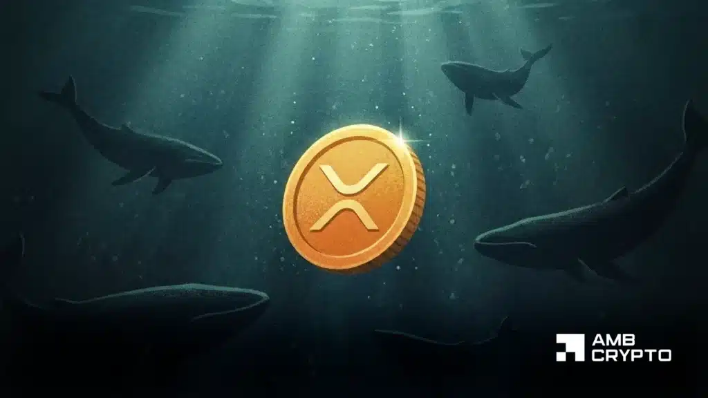 XRP resilience vs. Bitcoin’s macro‑driven weakness: Impact on investor sentiment