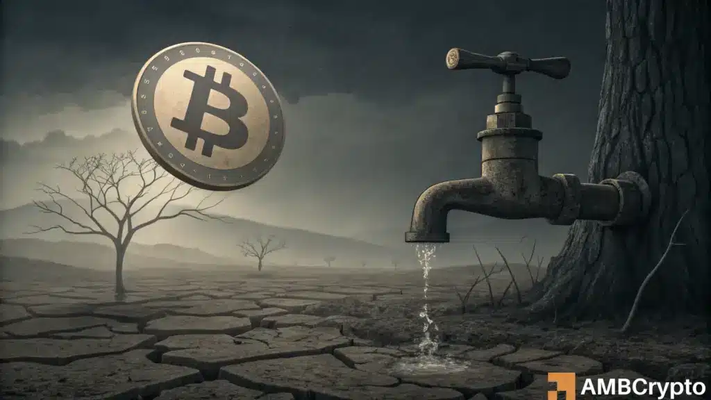 Bitcoin Rally Leans on Short Squeeze as Whale Inflows Raise Caution