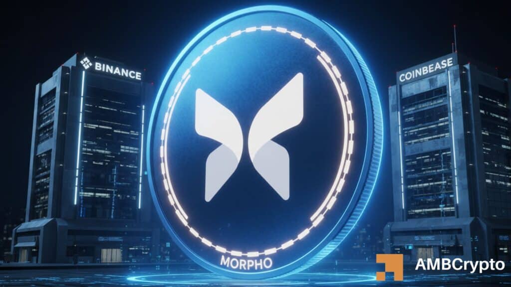 MORPHO seed investor sells $1.5 mln - Why price isn't collapsing yet