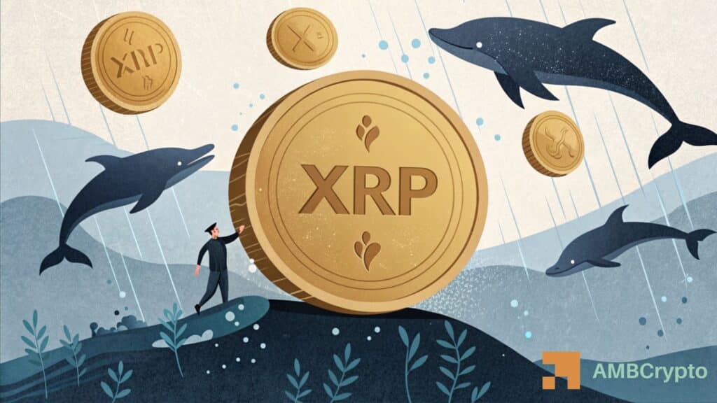 Whale distribution spikes: Is XRP under pressure?