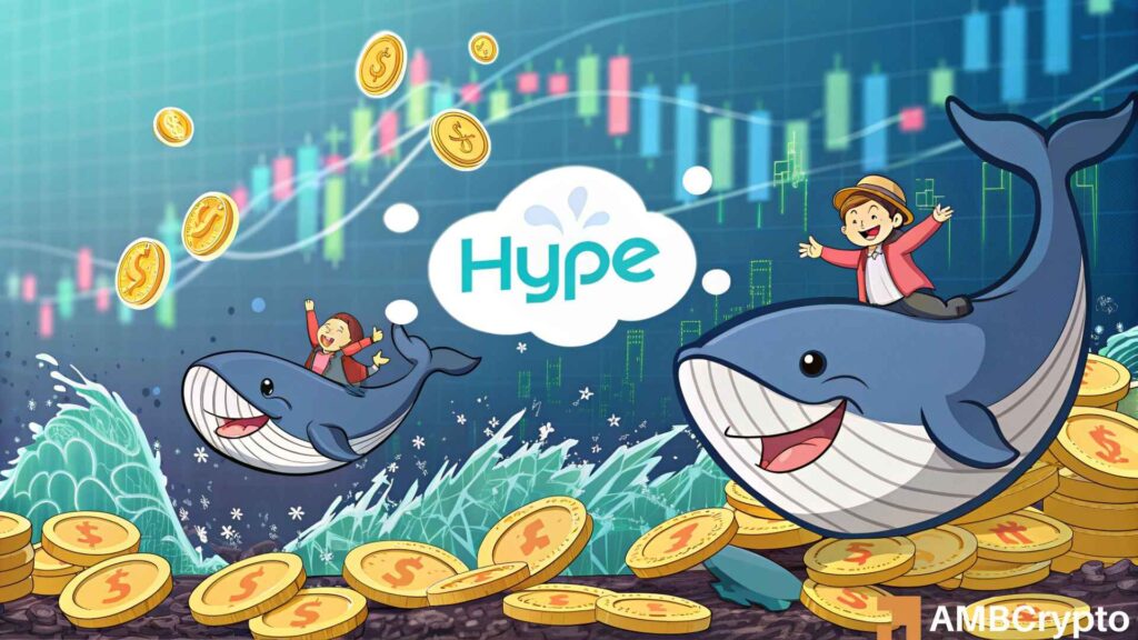 Hyperliquid: Can a $2.3 mln whale buy drive HYPE to $50?