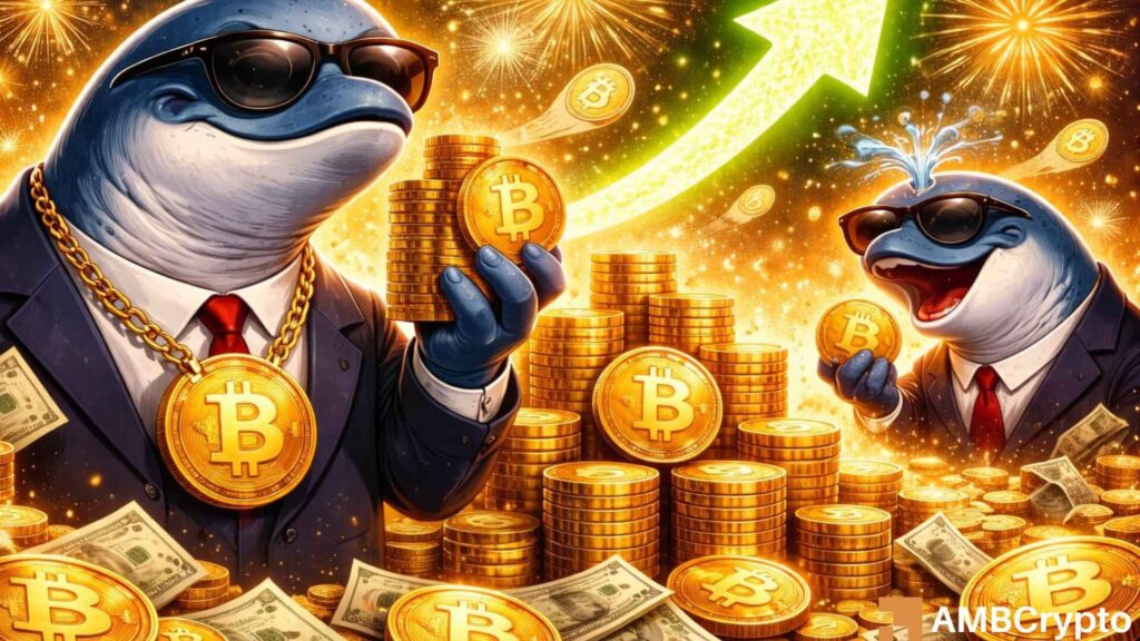 Bitcoin [BTC]