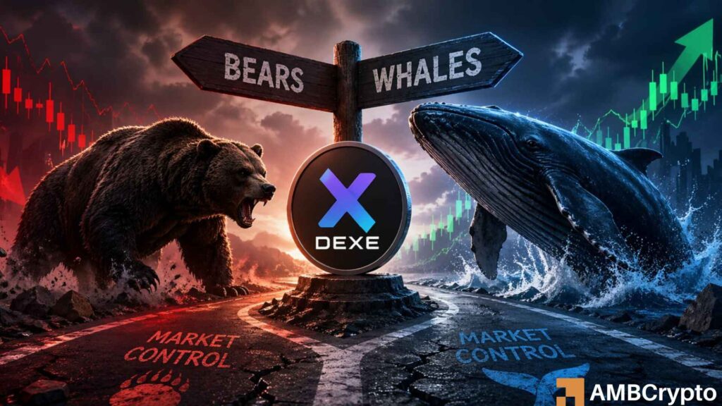 Whale accumulation around $12 offers DEXE a lifeline