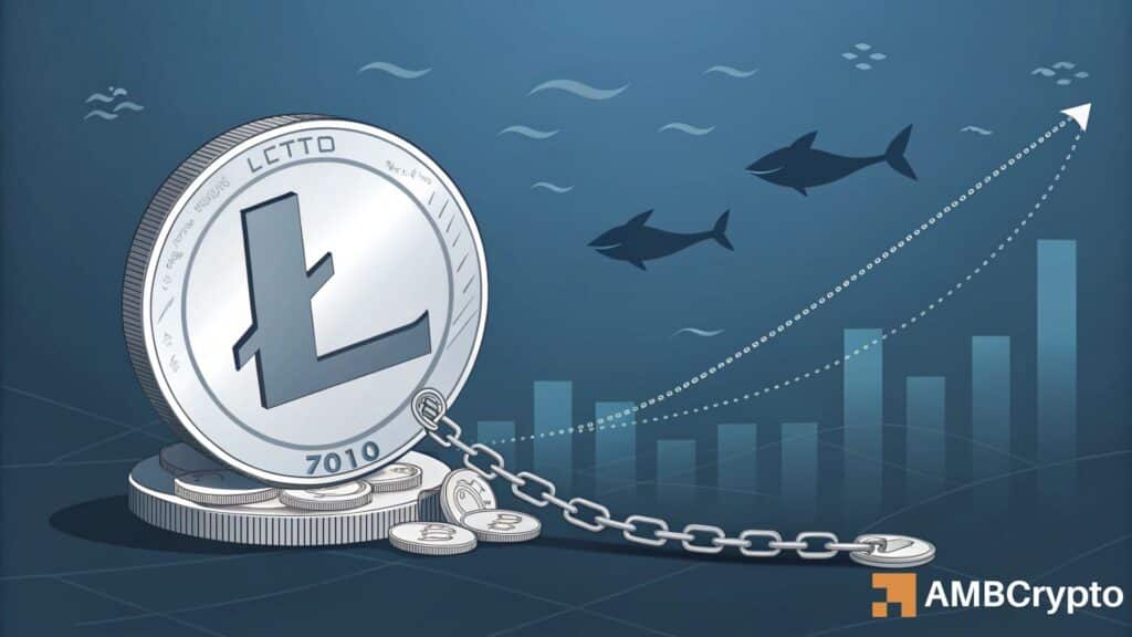 Litecoin Holds Pennant Pattern as Security Upgrade Restores Confidence After Exploit