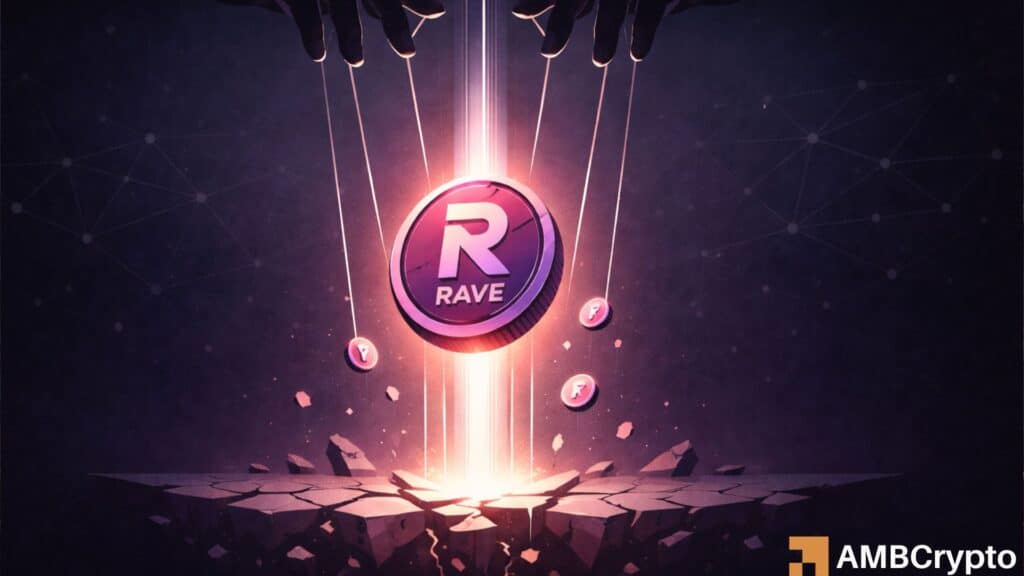 RAVE's rally questioned: '95.3% supply is controlled by the team itself'
