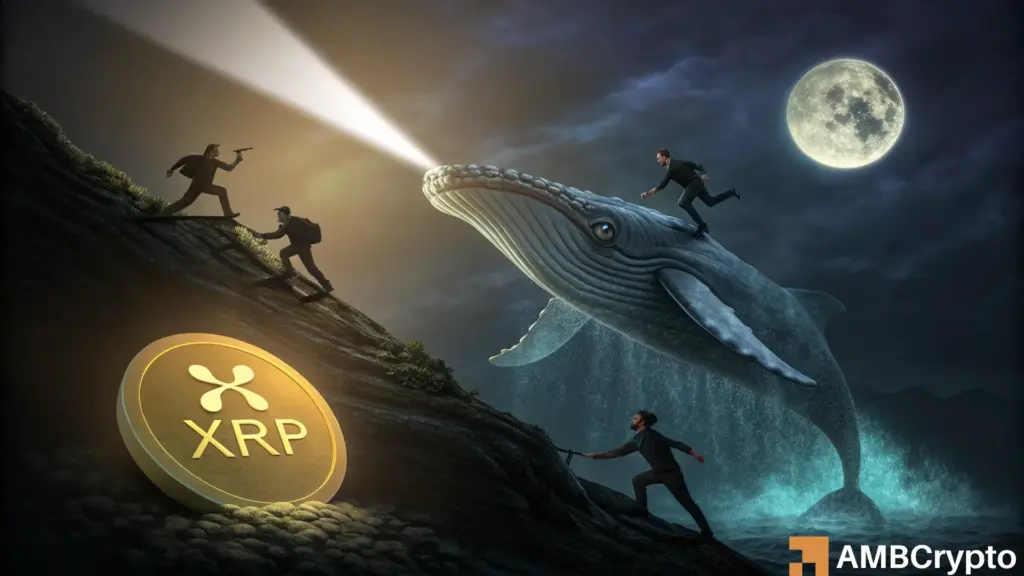 60% whale outflows vs rising leverage - XRP at a crossroads?