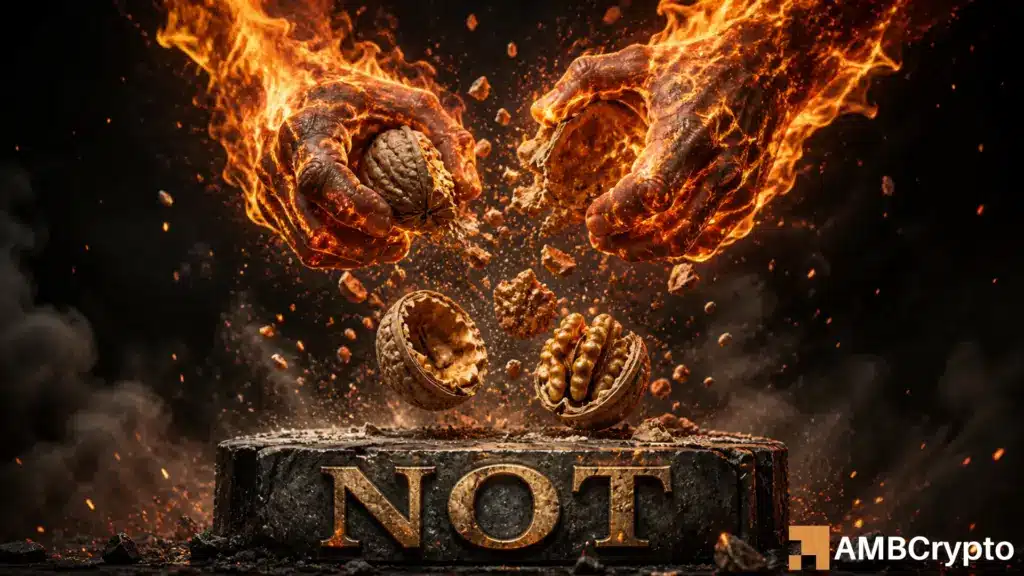 Notcoin rallies 21% - But THESE signal raise bull trap risks