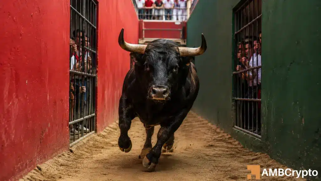 The current crypto rally is a narrative-driven rotation, not a bull run: Here's why