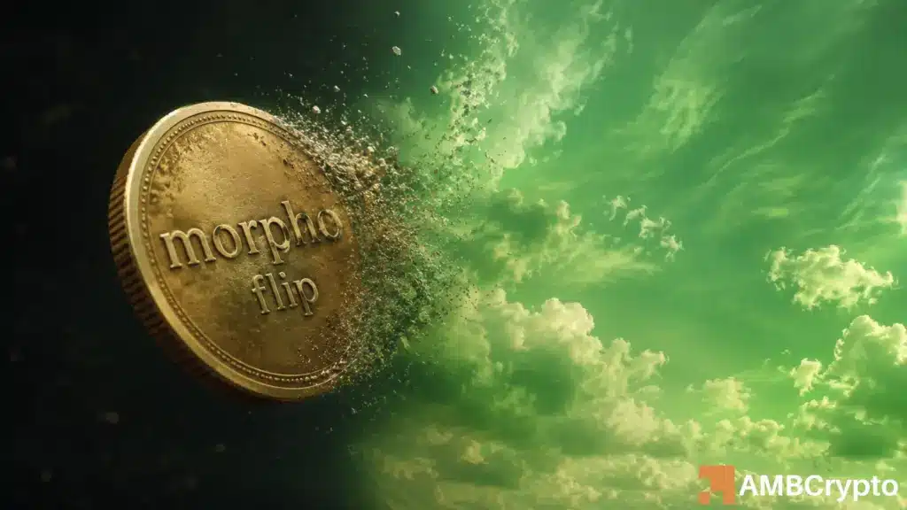 Morpho is up 10.3% and investors are all in