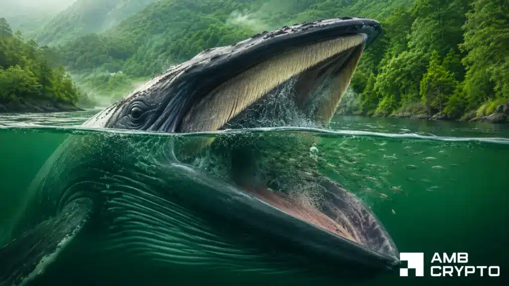 IOTA rockets 14% as whales accumulate - Perps back the move