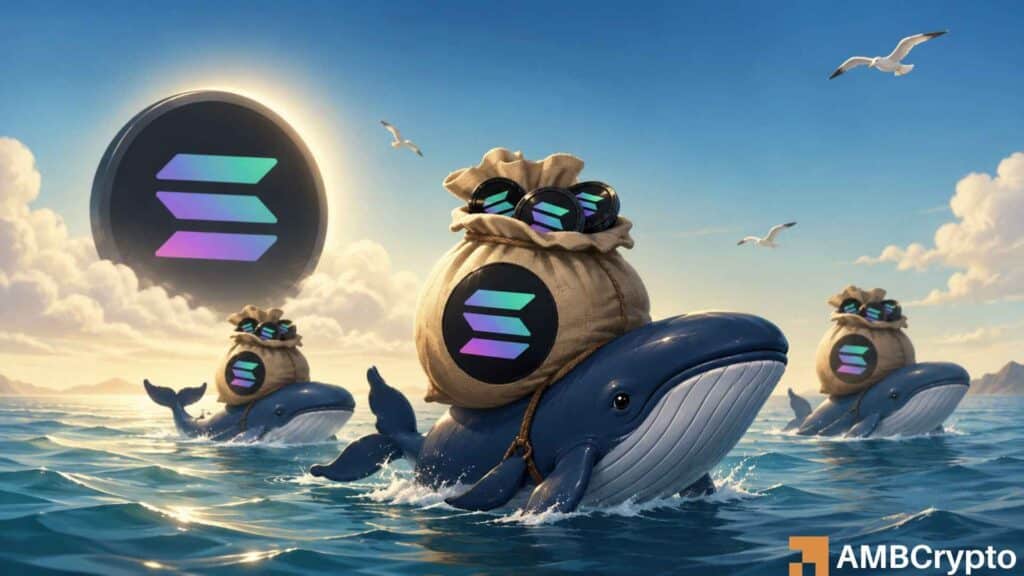 Solana: Amid rising ETF inflows and whale demand, will SOL break $97?