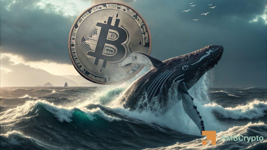 Bitcoin reclaims $80K as whales buy big – Can bulls push higher?