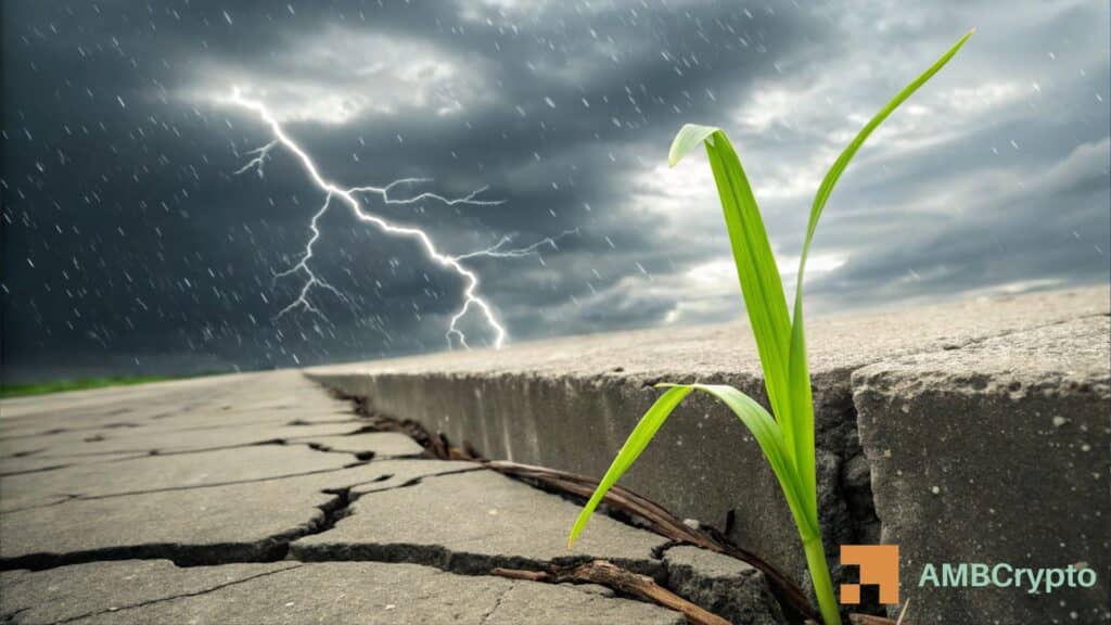 GRASS rallies 11% despite falling volume: Is the breakout really sustainable?