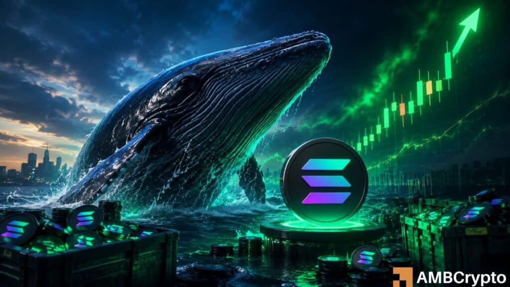 Solana whale bets $8 mln on SOL as price trades near $88 - Is $90 next?