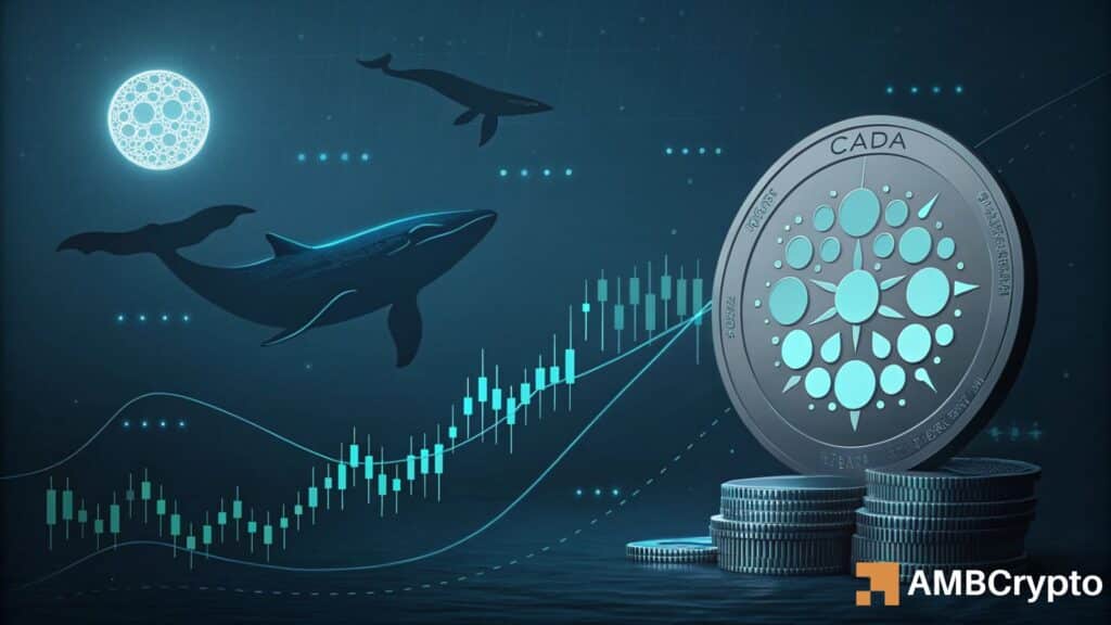 Cardano's long-term structure is changing - How whales played a part