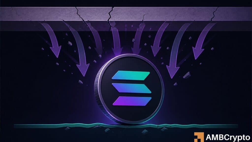 Solana dominates On-Chain activity while price stalls - What's missing?