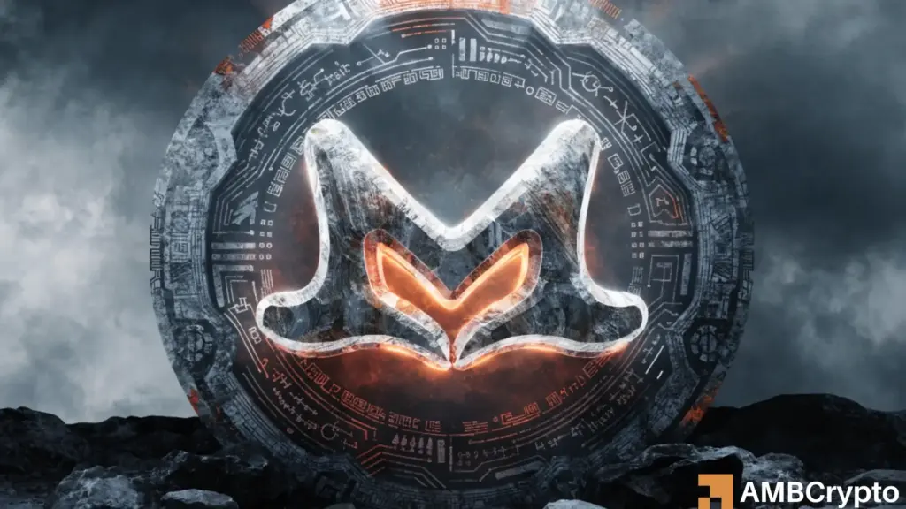 Monero rises 30% in a month: Analyzing XMR’s path to $799 ATH