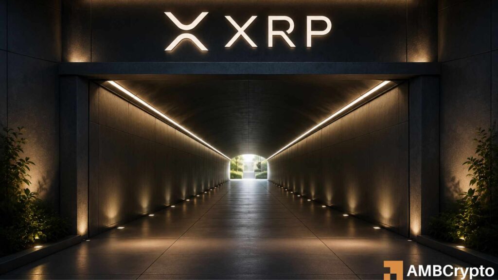 Can XRP's price recover as whale holdings surge to an 8-year high?